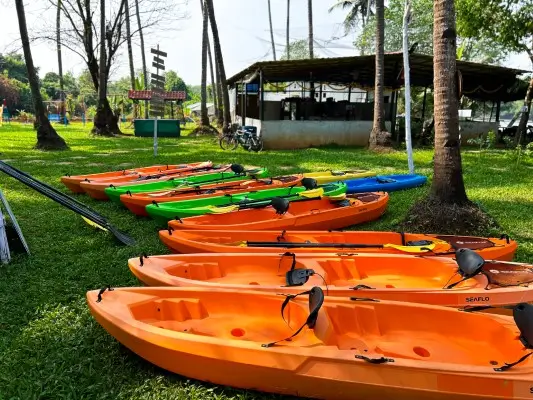 Backwaters & Beyond – Sai Island Day Tour